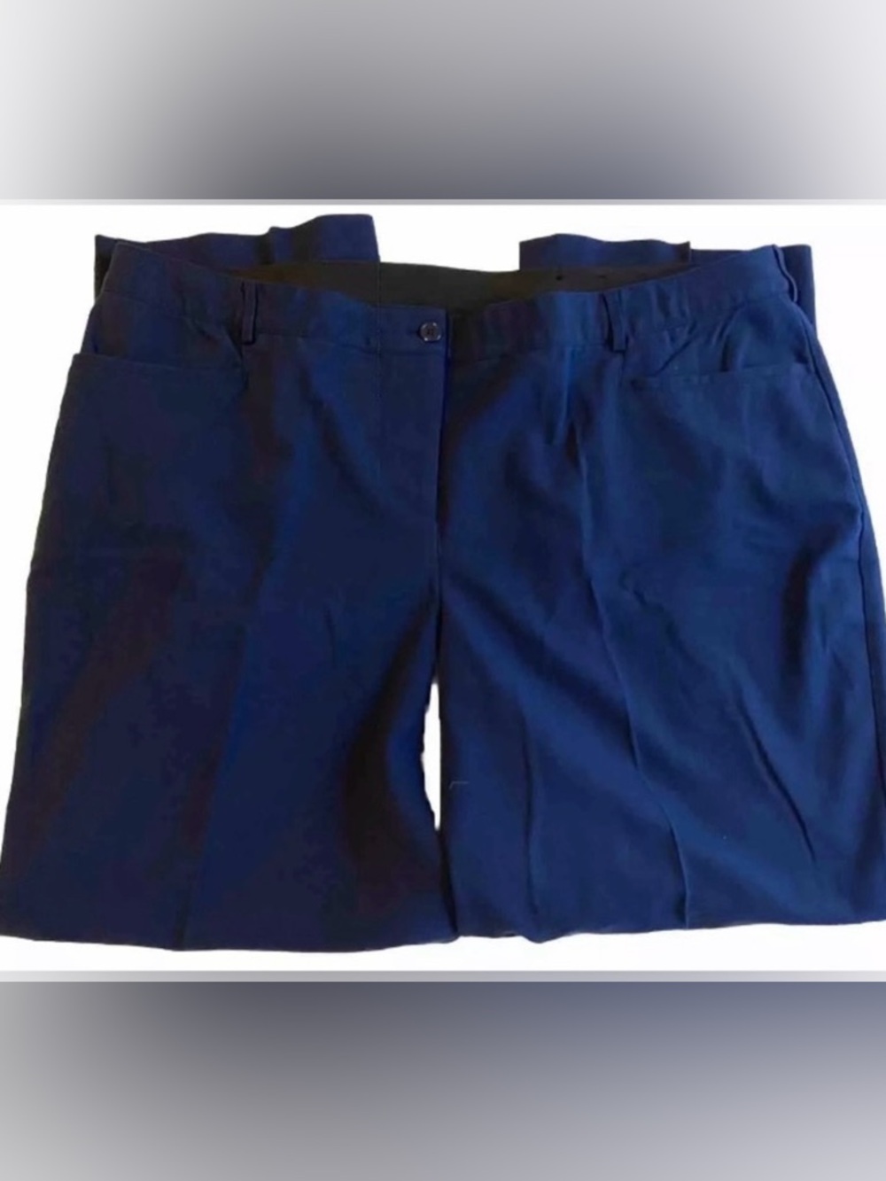 Lane Bryant Navy Blue Tailored Slacks